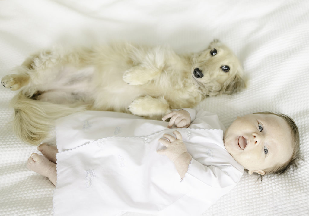 Newborn baby and dog lying beside one another on a white bed by Mountain Brook newborn photographer 