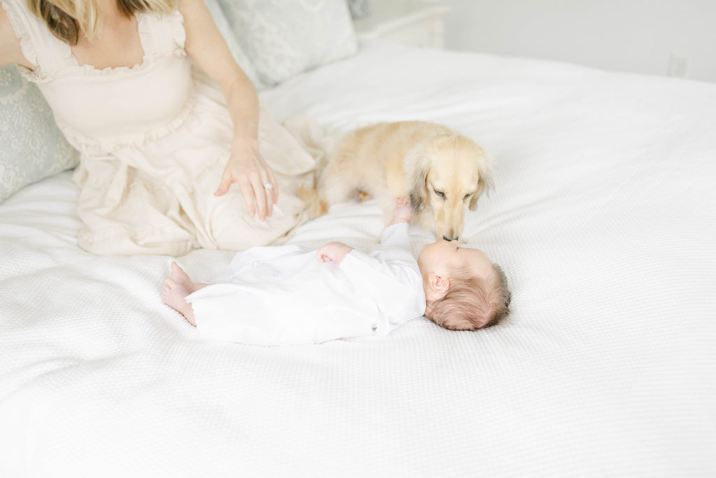 Dog kissing newborn baby on bed by Mountain Brook newborn photographer 